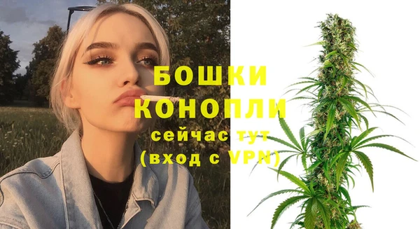 крисы Куйбышев